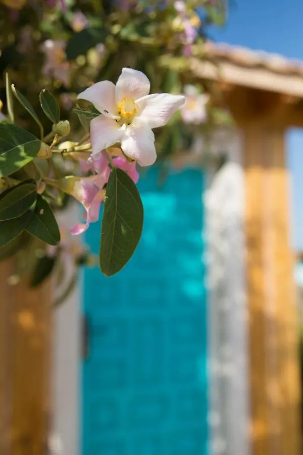 펜션 Casa Luna En Playa De El Palmar 엘 팔마르